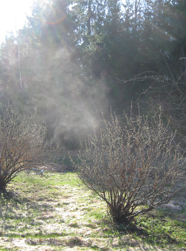 Tuhkapreparaatti levi&auml;&auml; ymp&auml;rist&ouml;&ouml;n